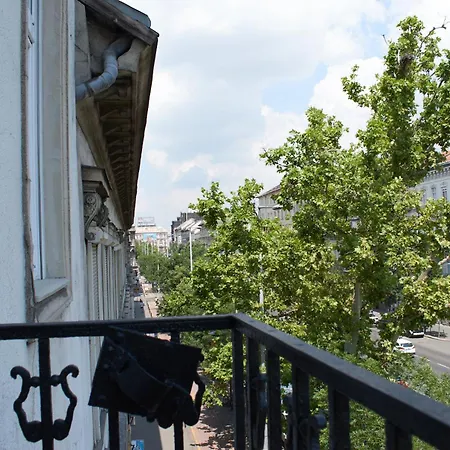 فيلة Bubbles&steam بودابست